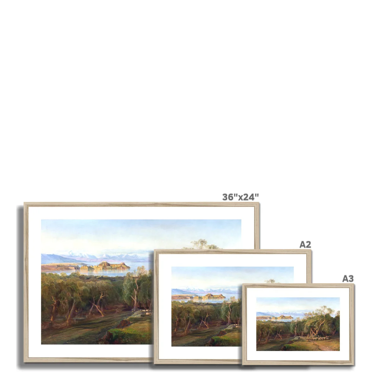 Thumbnail 12